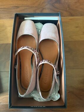 Coach Blush Pink Suede Mary Jane Flats with Floral Strap